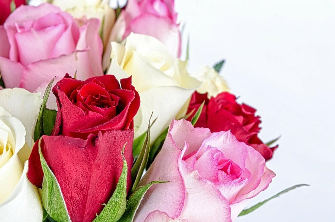 ¿Cuáles son las mejores flores para regalar el Día del Padre? - Imagen 1