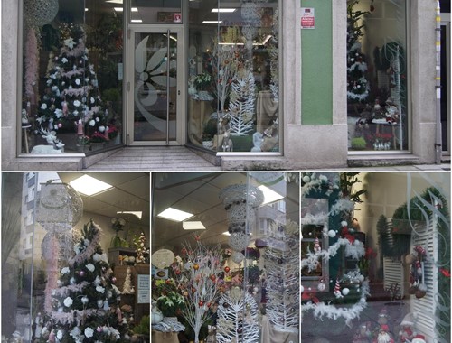 ¡Las plantas y flores también están presentes en Navidad!