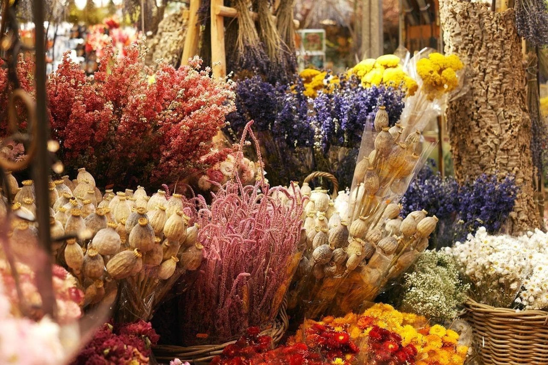 Floristería en Lugo - Arte Floral Soriales