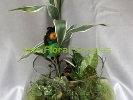 Arreglo de plantas en cristal