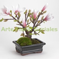 Bonsai magnolia artificial