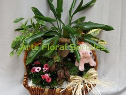 Cesta con plantas y peluche