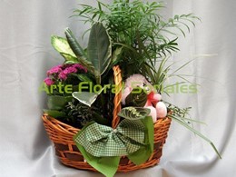 Cesta de plantas y peluche