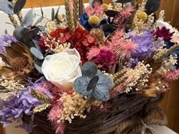Composición de flor preservada-seca 3