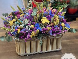 Composición de flor preservada-seca 4