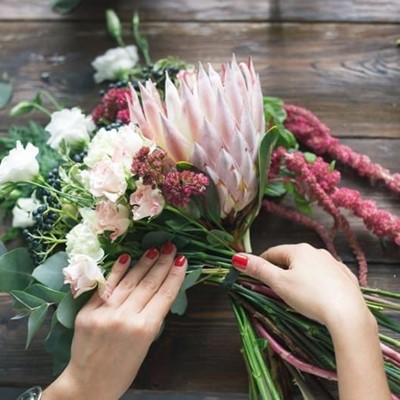 Conoce las flores más típicas de la Navidad