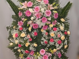 Corona 5