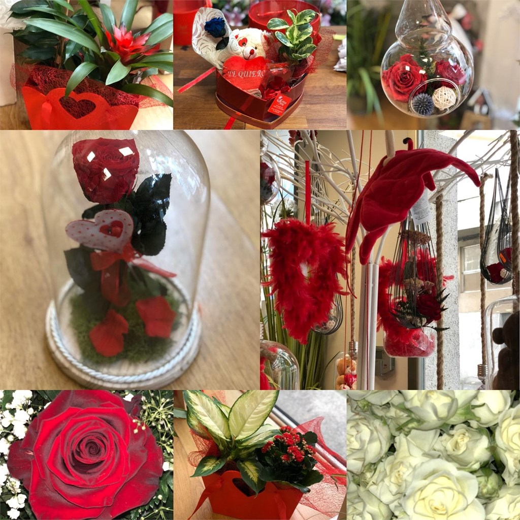 ¿Cuáles son las flores favoritas de San Valentín?