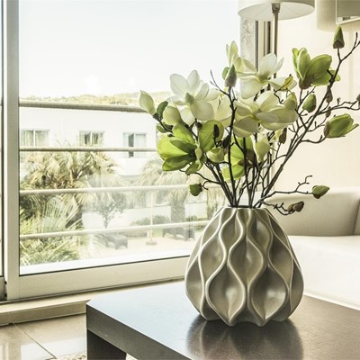 ¿Cuáles son los mejores lugares para colocar nuestras plantas en casa?