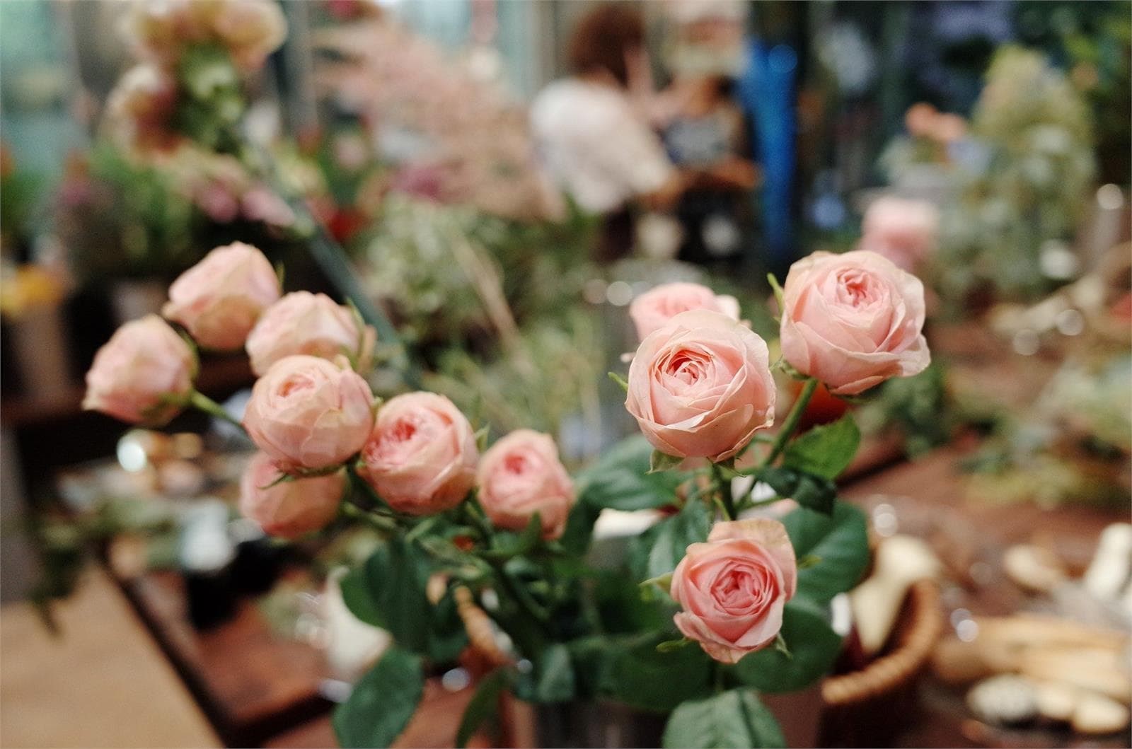 ¡En Arte Floral Soriales volvemos a estar para ti! - Imagen 1