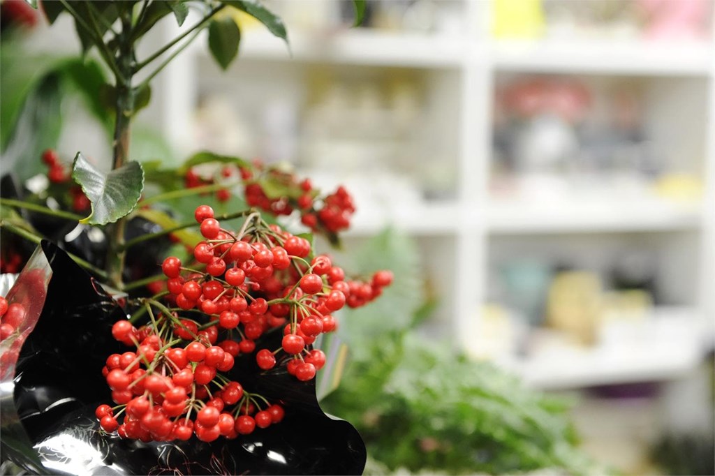 Ideas para decorar la casa en Navidad con flores y plantas naturales