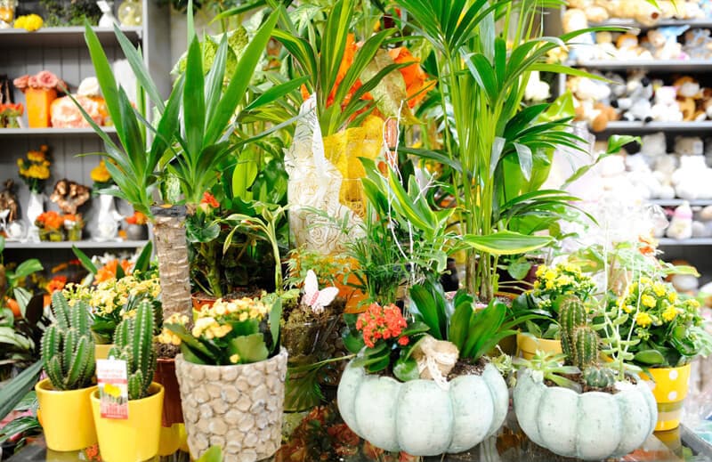 Decoración floral para bodas