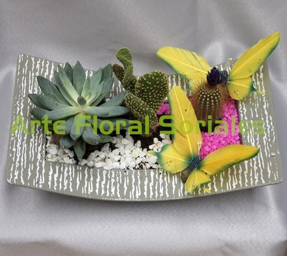 Diseños florales en Lugo - Floristería Soriales