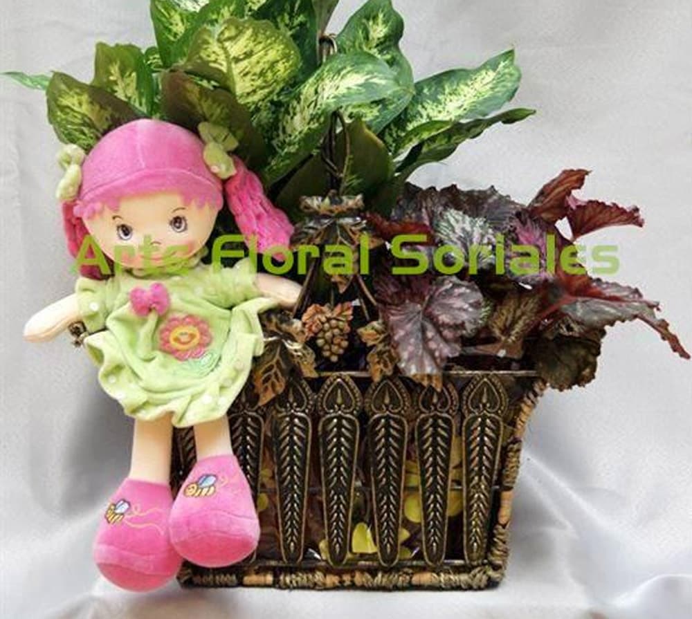 Diseños florales en Lugo - Floristería Soriales