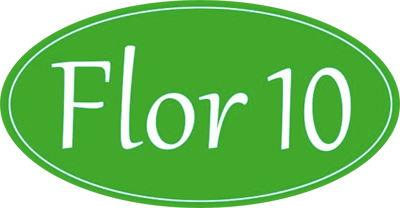 Logo Flor 10