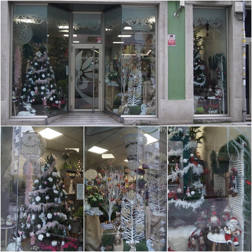 ¡Las plantas y flores también están presentes en Navidad!