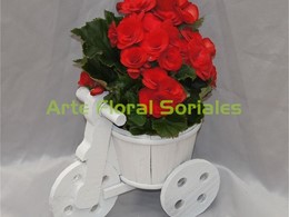 Planta begonia roja en triciclo de madera