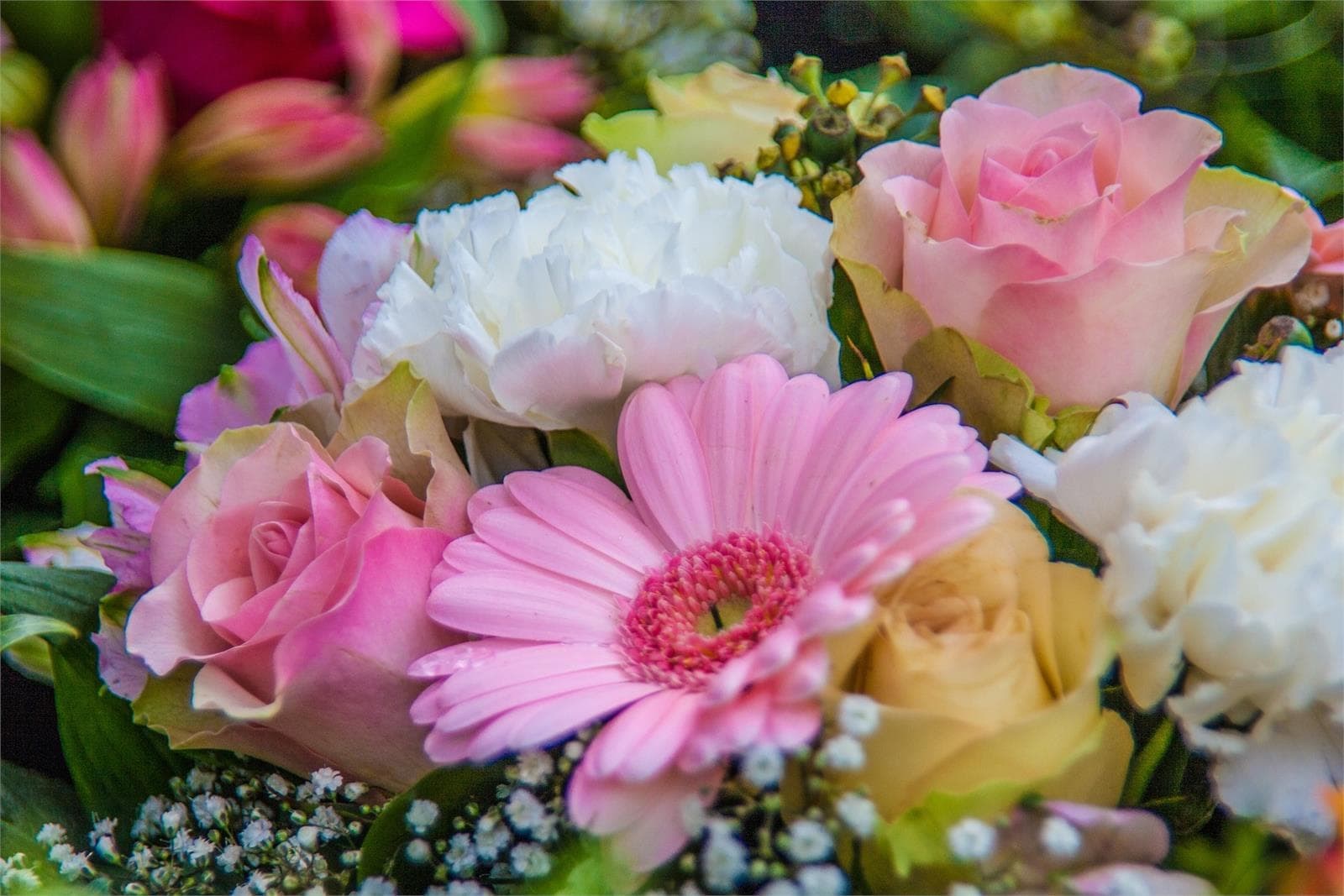 ¡Regala flores y llena de vida tu entorno con Arte Floral Soriales! - Imagen 1